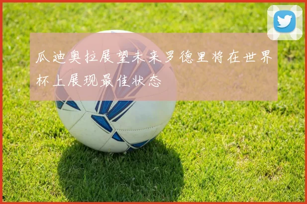 瓜迪奥拉展望未来罗德里将在世界杯上展现最佳状态