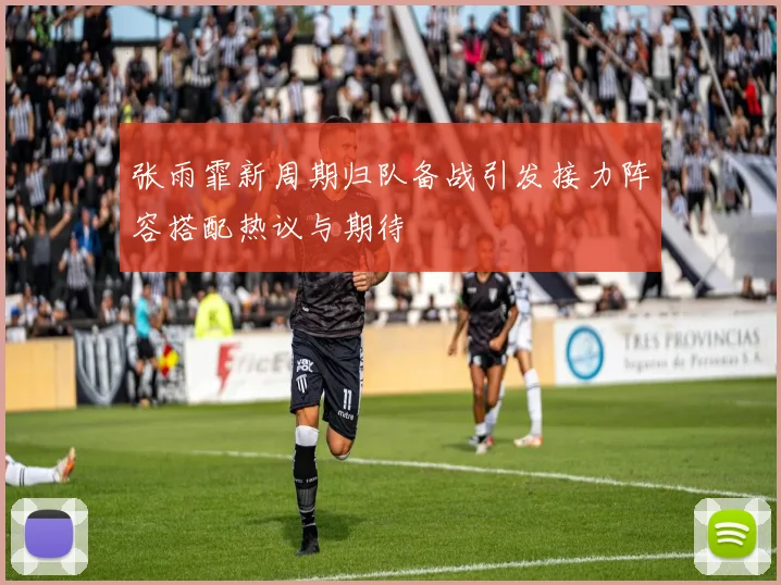 张雨霏新周期归队备战引发接力阵容搭配热议与期待