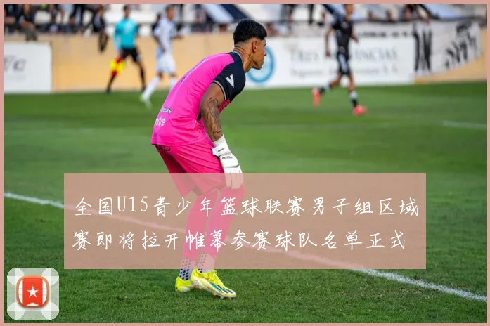 全国U15青少年篮球联赛男子组区域赛即将拉开帷幕参赛球队名单正式公布